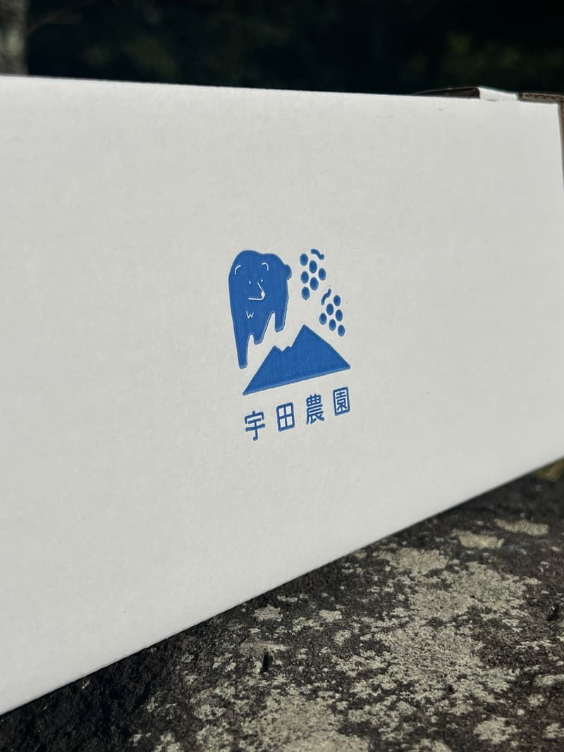箱の側面に入れたロゴ